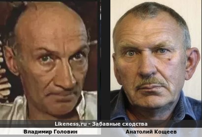 Владимир Головин похож на Анатолия Кощеева