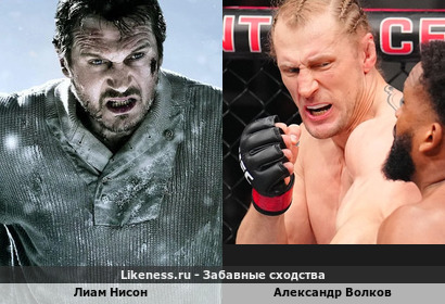 Лиам Нисон похож на Александра Волкова