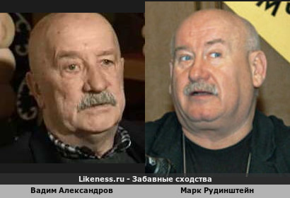 Вадим Александров похож на Марка Рудинштейна