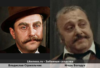 Владислав Стржельчик похож на Игоря Богодуха