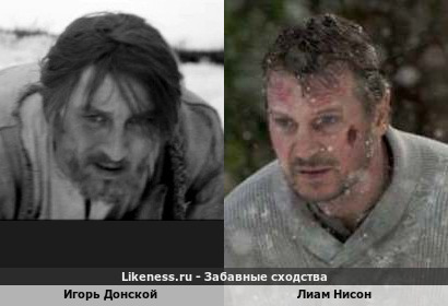 Игорь Донской похож на Лиама Нисона