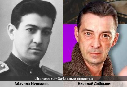 Абдулла Мурсалов похож на Николая Добрынина