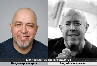 Владимир Кисаров похож на Андрея Макаревича
