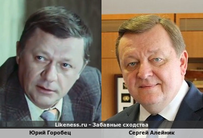 Юрий Горобец похож на Сергея Алейника