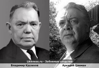 Владимир Кружков похож на Аркадия Цинмана