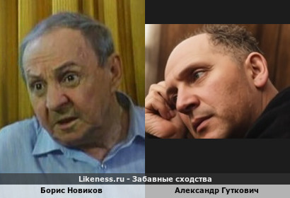 Борис Новиков похож на Александра Гутковича
