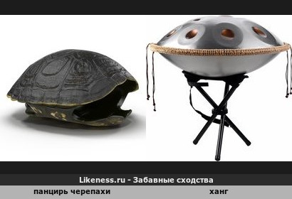 Панцирь черепахи напоминает ханг