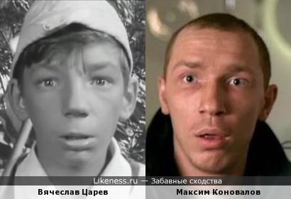 Вячеслав Царев похож на Максима Коновалова
