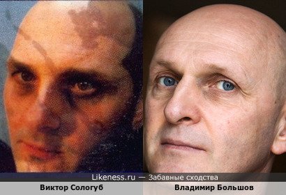 Виктор Сологуб похож на Владимира Большова