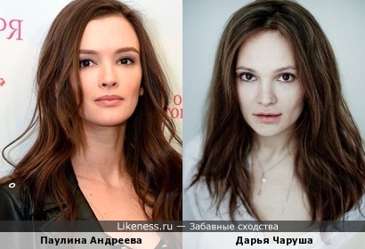 Дарья Чаруша похожа на Паулину Андрееву