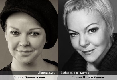 Елена Валюшкина похожа на Елену Новосёлову
