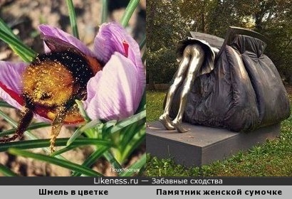 Шмель в цветке напоминает скульптуру в виде дамской сумочки
