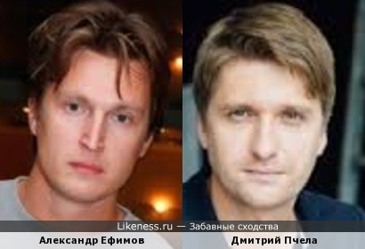 Александр Ефимов и Дмитрий Пчела