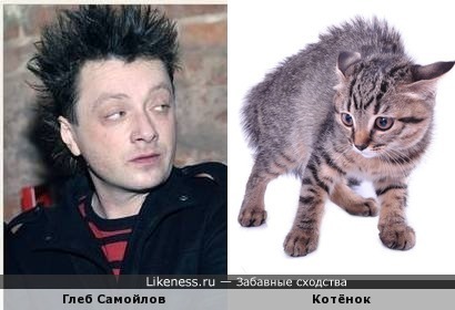 Глеб Самойлов похож на испуганного котёнка