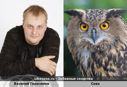Василий Герасимов очень напоминает Сову