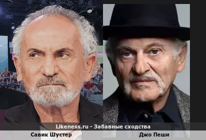 Савик Шустер похож на Джо Пеши