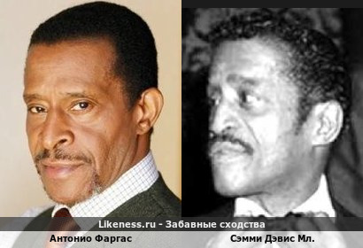 Антонио Фаргас похож на Сэмми Дэвиса Мл