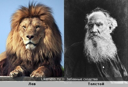 Имя Лев сочетается и похожи с писателем Толстым