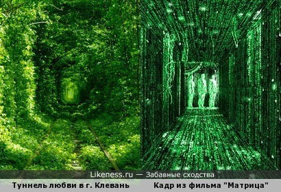 Туннель любви в городе Клевань, (Украина) похож на кадр из фильма &quot;Матрица&quot;