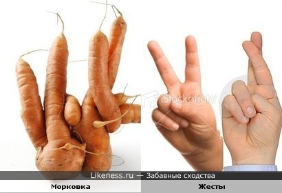 Морковочка намекает :)