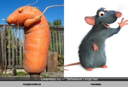 Морковь похожа на мышь