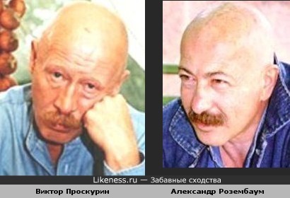 Виктор Проскурин похож на Александра Розембаума