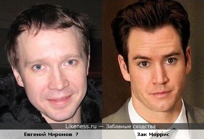 Евгений Миронов похож на Зака Морриса