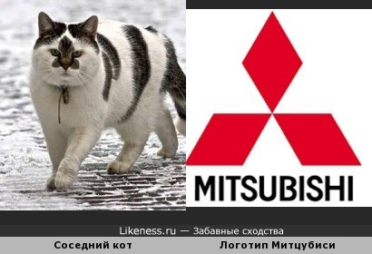 Соседский кот похож на логотип Митцубиси