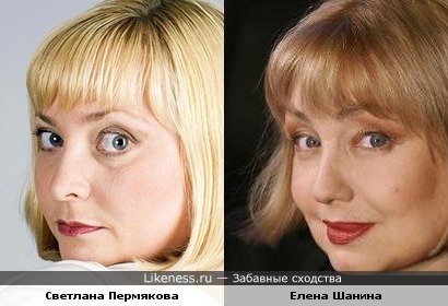 Светлана Пермякова похожа на Елену Шанину