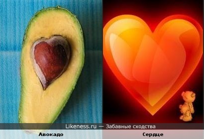 Косточка авокадо похожа на сердце