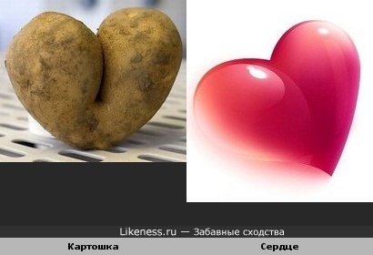 Картошка похожа на сердце
