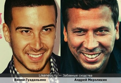 Винни Гуаданьино - американский актёр и Андрей Мерзликин - российский актёр, на этих фотографиях я увидел общие черты лица!!!