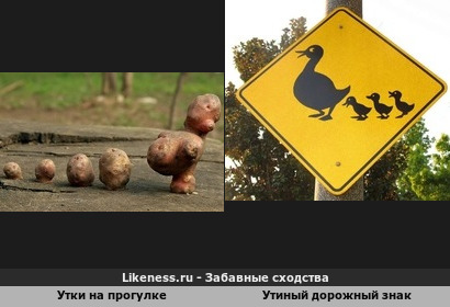 Картофельные утки / Дорожный знак