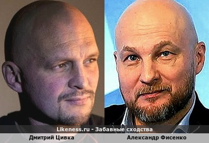 Дмитрий Цивка похож на Александра Фисенко