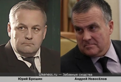 Омский вице-губернатор и Брешин