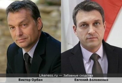 Воловенко напоминает Орбана