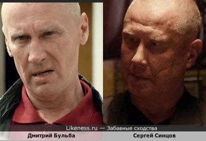 Дмитрий Бульба похож на Сергея Синцова