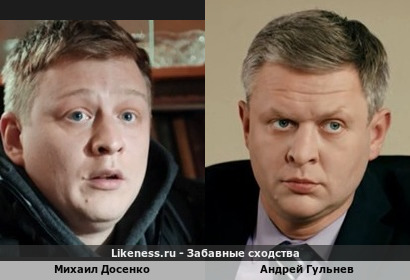Михаил Досенко похож на Андрея Гульнева