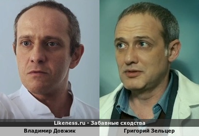 Григорий Зельцер похож на Владимира Довжика