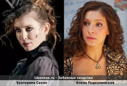 Екатерина Сахно похожа на Елену Подкаминскую