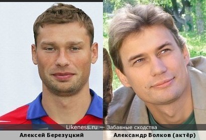 Алексей Березуцкий похож на Александра Волкова