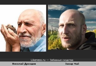 Захар Май и Николай Дроздов похожи