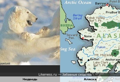 Полуостров Аляска похож на медведя, тянущего руки к России