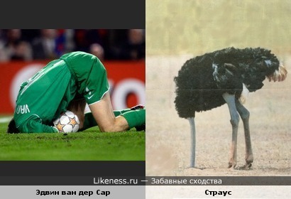 Футболист похож на страуса