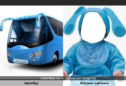Автобус похож на костюм зайчика