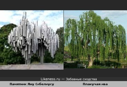 Памятник композитору Яну Сибелиусу похож на плакучую иву