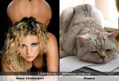 Анна Семенович и кошка