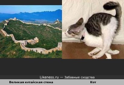 Участок Великой китайской стены похож на бегущего кота