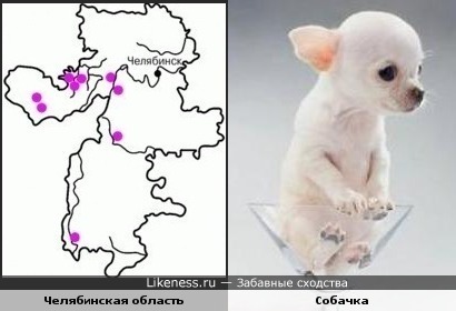 Карта Челябинской области похожа на собачку