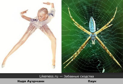 Надя Ауэрманн похожа на паука